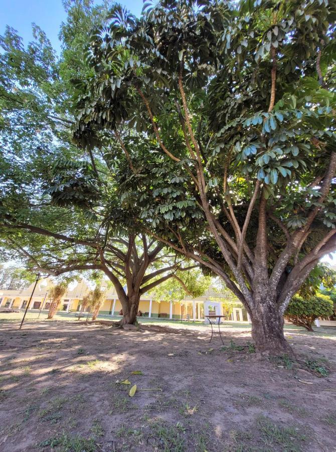 Hotel Portico Norte Tartagal エクステリア 写真