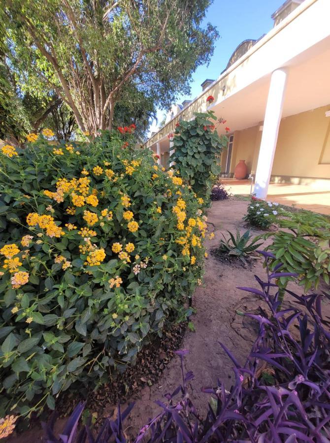 Hotel Portico Norte Tartagal エクステリア 写真